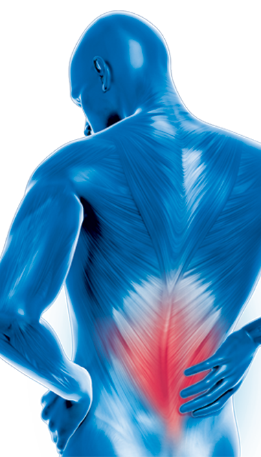 Thousands of Products Dolor de espalda: causas, síntomas y tratamientos,  dolor de espalda